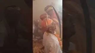 kalyan dham nilapani paderdi navratri 2025