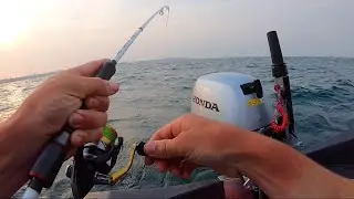 Afternoon Fishing - Tuff Tender