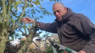 Pruning Shears Sharpened
