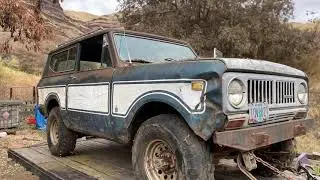73 scout II Restoration