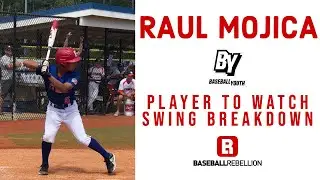 Raul Mojica | Baseball Youth | Swing Breakdown
