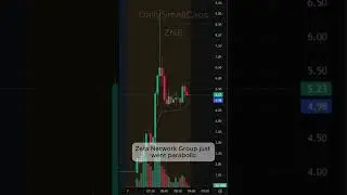 ZNB