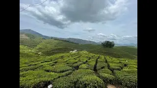 Places to visit in India Ep 20 Tea factory museum Munnar
