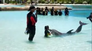 Atlantis Dolphin Swim