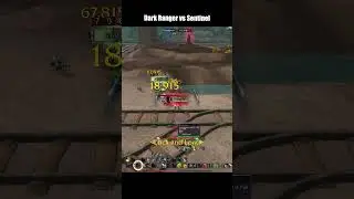 Dark Ranger vs Sentinel #retail #wow #pvp #warwithin