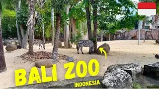 Bali Zoo: Close Animal Encounters! 🐘🇮🇩