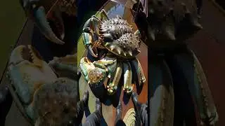 Fishermen Haul Up TERRIFYING GIANT CRAB MONSTER! 😱🦀 Its Claws Could CRUSH Anything! #shorts
