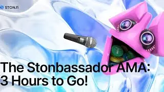 Stonbassador AMA by STONfi