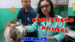#VEDA29 CONTENÇÃO ANIMAL / #VidaDeVeterinaria