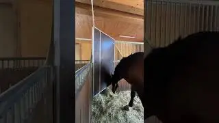 Automatic Hayfeeder