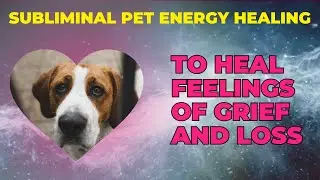 Pet Healing: Nurturing Grief Through Energy Healing