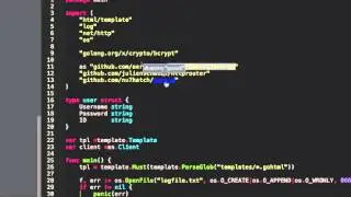 Golang Aerospike