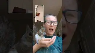 whaaat??? Flying squirrel fakes death?! 💀🐿️ #funnyshorts