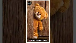 Teddy tere... whatsapp status.. Full screen ❤️🌍💍🥰