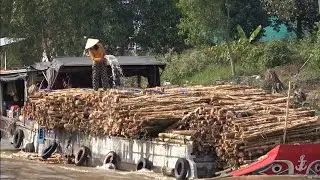Cảnh ghe thuyền làm ăn sinh sống trên dòng sông của người dân