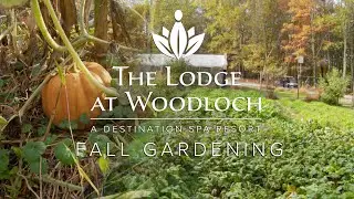 Fall Gardening at The Lodge at Woodloch