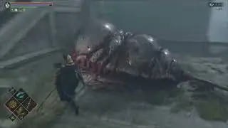 Primeval Demon Location World 1 - Pure Black World Tendency | Demon's Souls