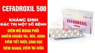 Cefadroxil 500mg - Thuốc Cefadroxil 500mg Kh&aacute;ng Sinh Điều Trị Hiệu Quả Nhanh C&aacute;c Bệnh Nhiễm Khuẩn