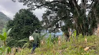Corrido para Wisungui, de Bryan Andr&eacute; Suazo de Rancho Grande