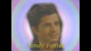 Guiding Light: Character Profiler - Sandy Foster
