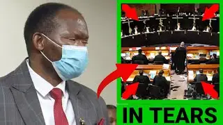 Michael Sandlana in Tears as High Court issues strong warning on immigration claim