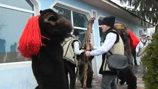 Ursul de la Darmanesti in vizita la Smulti