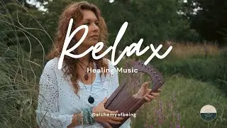 Lyra Meditation in Nature | Relaxing Healing Music by Manuela