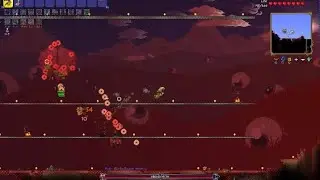 Terraria, Legendary For the Worthy drunk seed, 200 Health Summoner, Brain of cthulhu