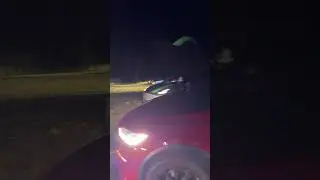 Tesla Owners Club of Ontario Inc.: Bringing You the Ultimate Light Show Experience! ✨