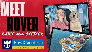 MEET ROVER, the First Chief Dog Officer on Royal Caribbean's Icon of the Seas!