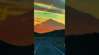 Иду и думаю. Сука больно что то
