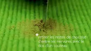 &Eacute;liminer les taches chocolat - tretford tapis