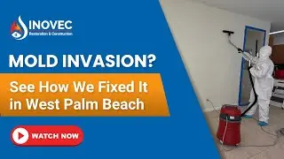 Mold Removal in West Palm Beach | See Our Step-by-Step Remediation Process