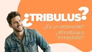 Todo sobre el Tribulus: &iquest;Testosterona, Alcohol y Resultados?