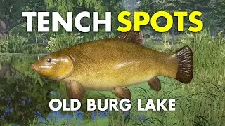 Russian Fishing 4 TENCH SPOT Old Burg Lake
