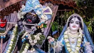 The Daily Beats is live রাধে রাধে🙏 শুভ ভীম একাদশী বন্ধুরা🌄🌻
