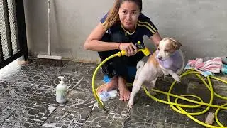 My baby Kokoni Take a shower