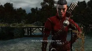 The Witcher 1 All Scenes With White Rayla (The Order Path)