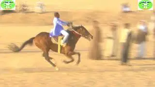 دنجوان\\\\سعد باشا\\\\الحسن والحسين٢٠١٨\\\\\\\سعد الحامى