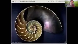 The Labyrinth: A Theory of Evolution