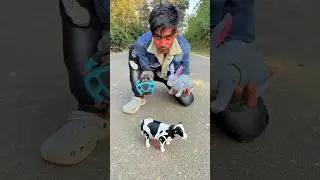 My New Cow 🐄 and RC Rabbit Unboxing Video!🔥