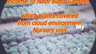 Indoor and Outdoor Plants Protect from frost nursery visit