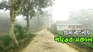 শীতের সকালে হিমেল হাওয়া ও কুয়াশামাখা গ্রামের পরিবেশ। Amazing Winter Morning in Bangladesh Village