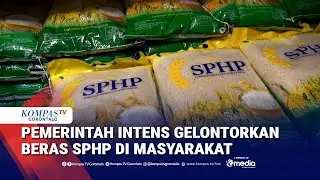 Harga Beras Masih Tinggi, Pemerintah Intens Gelontorkan SPHP