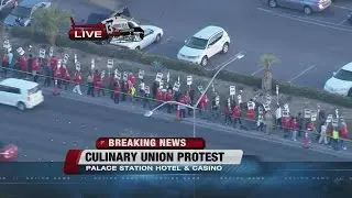 Culinary Union protest