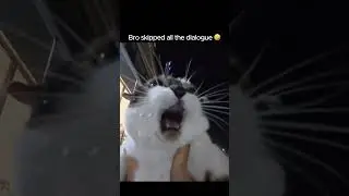 Брат пропустил все диалоги 🤣