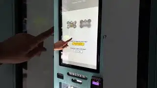 Discover Disney World's Amazing Pet ID Tag Kiosk #disneyworld #disneysouvenier #disneyworldvacation