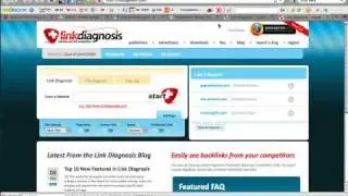 SEO Marketing Firm | Why Can't I Find My Site on Search Engines
