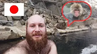 JE PRENDS UN BAIN AVEC DES SINGES AU JAPON (visite de Nagano)