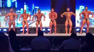 Bodybuilding  Swiss Championsship 2017 Overall und best Poser